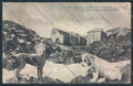 Aosta San Bernardo Grande Dog cartolina MQ4639 – fronte