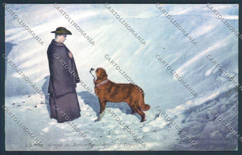 Aosta San Bernardo Grande Dog cartolina MQ4641 – fronte
