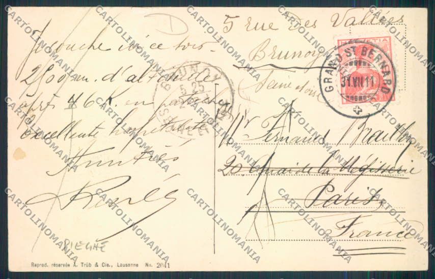 Aosta San Bernardo Grande Dog PIEGHE cartolina MQ4647 – retro
