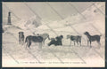Aosta San Bernardo Grande Dog cartolina MQ4648 – fronte