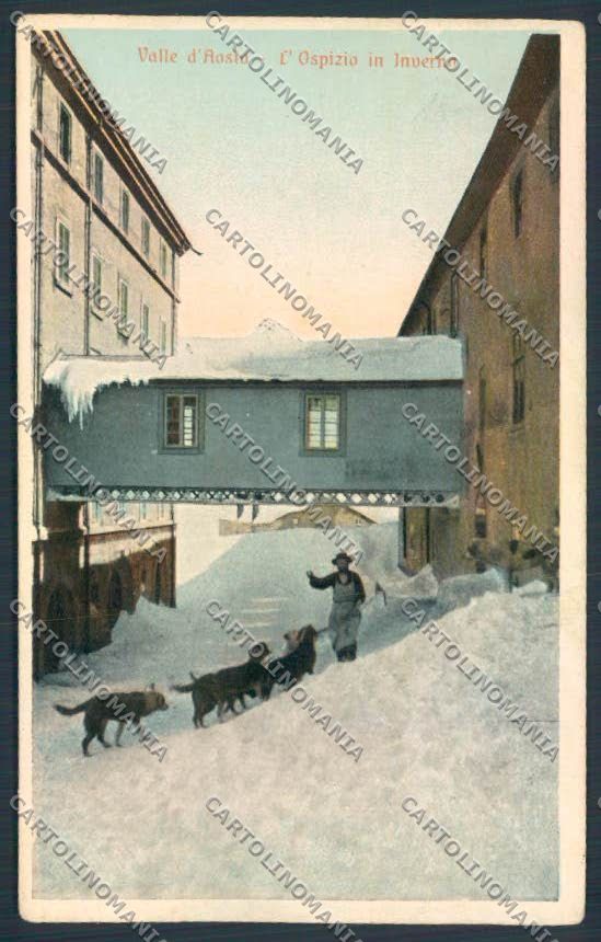 Aosta San Bernardo Grande Dog cartolina MQ4650 – fronte