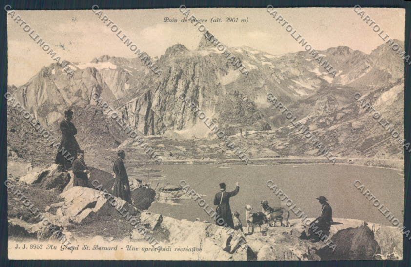 Aosta San Bernardo Grande Dog cartolina MQ4653 – fronte