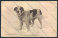 Aosta San Bernardo Piccolo Dog cartolina MQ4668 – fronte