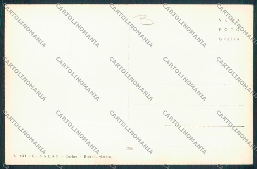 Aosta San Bernardo Piccolo Dog foto cartolina MQ4677 – retro