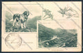 Aosta San Bernardo Piccolo Dog cartolina MQ4688 – fronte