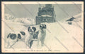 Aosta San Bernardo Piccolo Dog cartolina MQ4710 – fronte