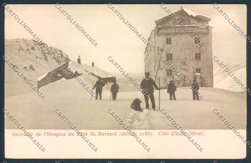 Aosta San Bernardo Piccolo Genta cartolina MQ4743 – fronte