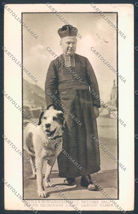 Aosta San Bernardo Piccolo Dog cartolina MQ4745 – fronte
