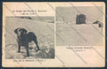 Aosta San Bernardo Piccolo Dog cartolina MQ4751 – fronte