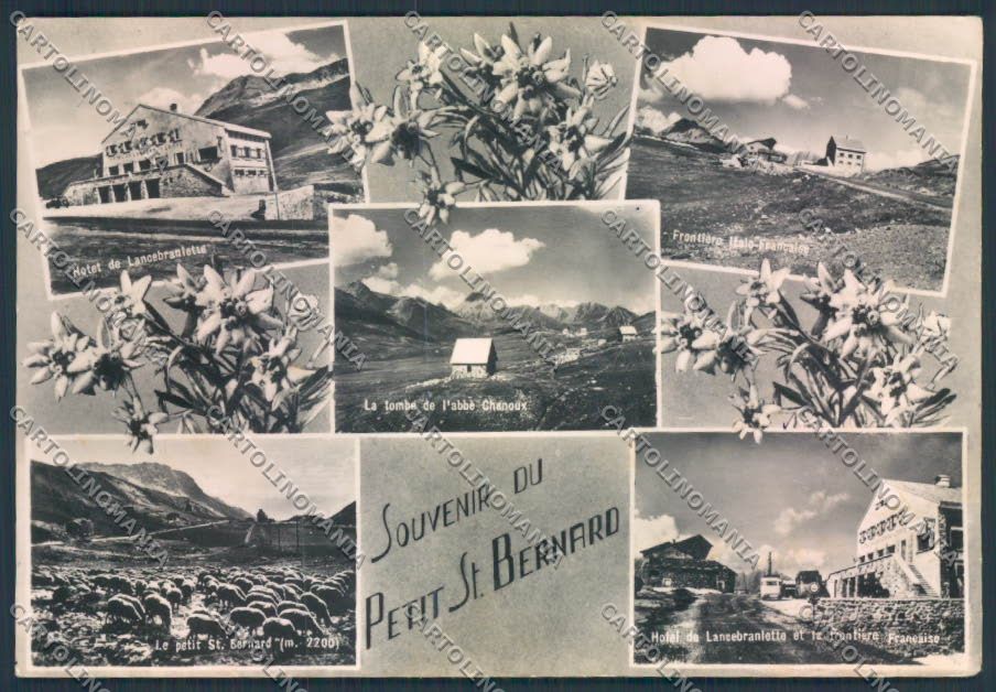 Aosta San Bernardo Piccolo foto FG cartolina MQ4777 – fronte