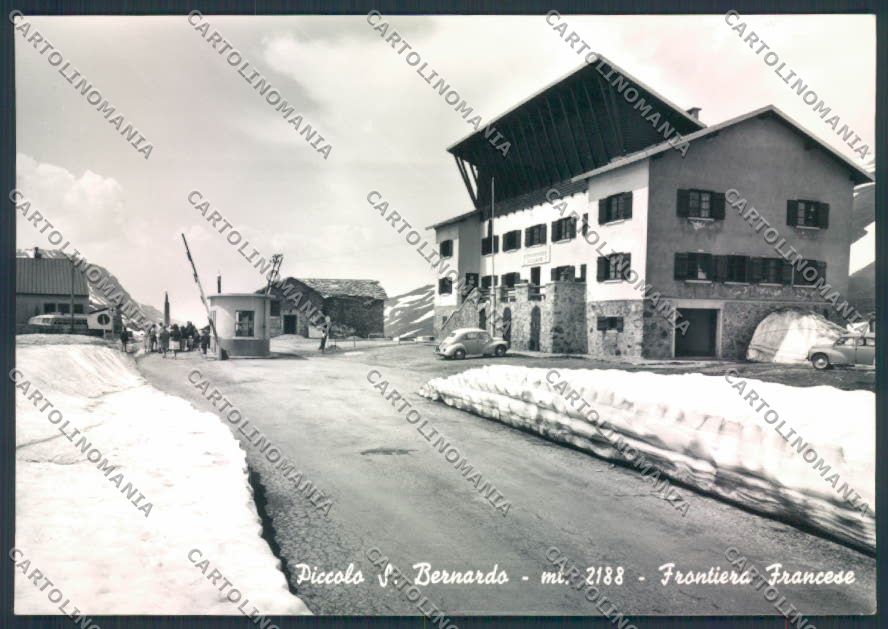 Aosta San Bernardo Piccolo foto FG cartolina MQ4778 – fronte