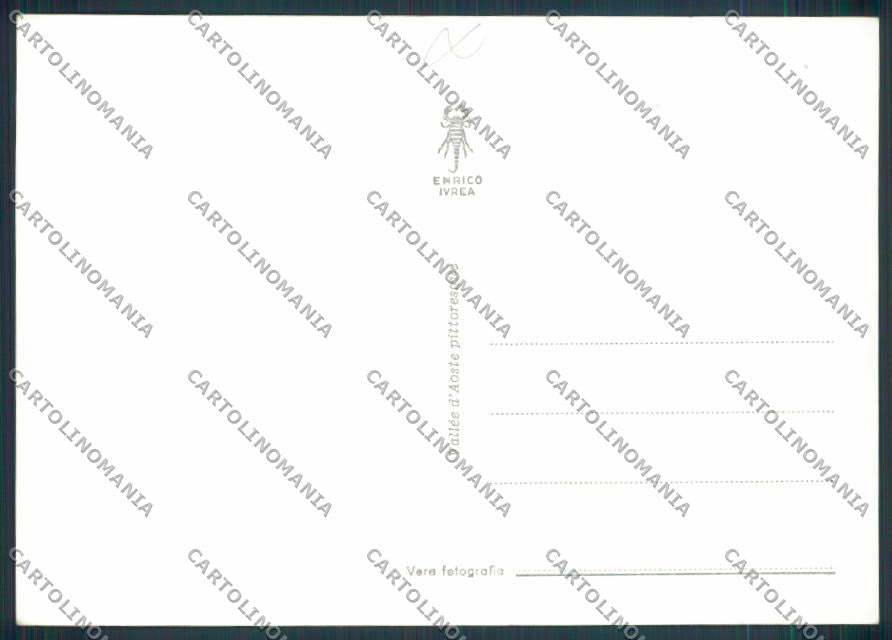 Aosta San Bernardo Piccolo foto FG cartolina MQ4778 – retro