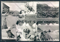 Aosta San Bernardo Piccolo Dog foto FG cartolina MQ4780 – fronte