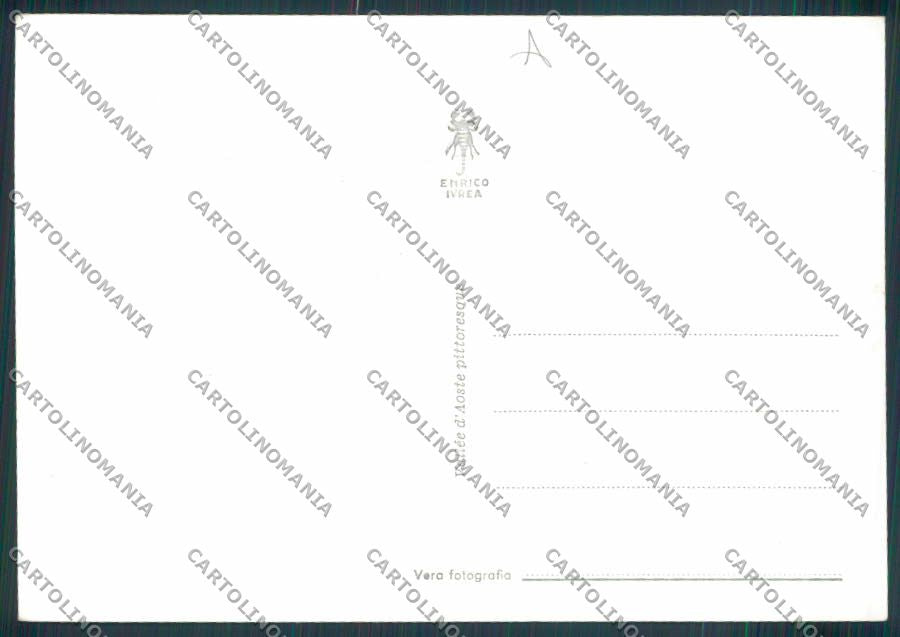 Aosta San Bernardo Piccolo foto FG cartolina MQ4781 – retro