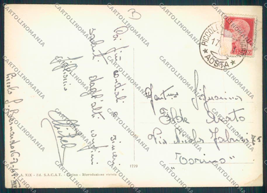 Aosta San Bernardo Piccolo Dog foto FG cartolina MQ4787 – retro