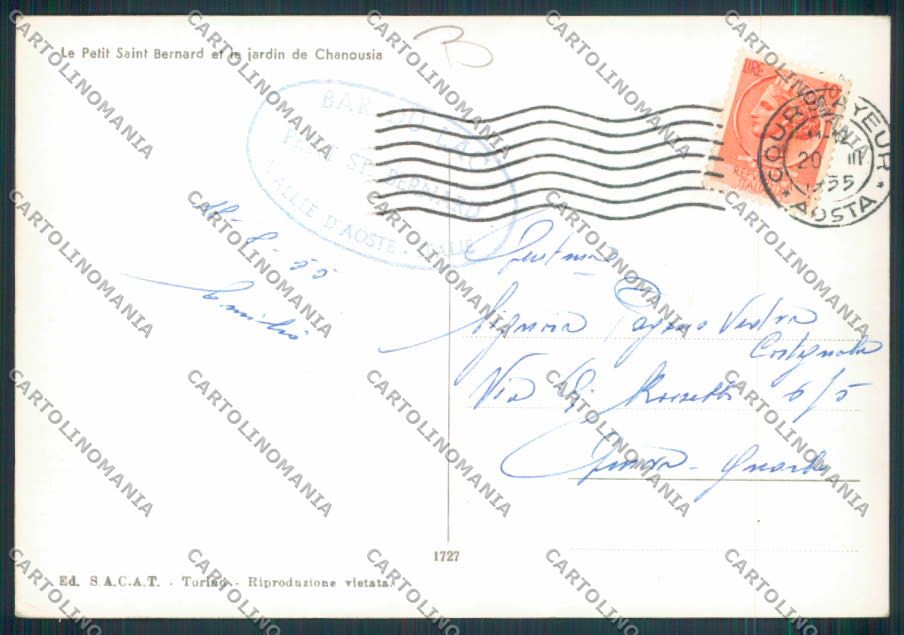 Aosta San Bernardo Piccolo Dog foto FG cartolina MQ4791 – retro