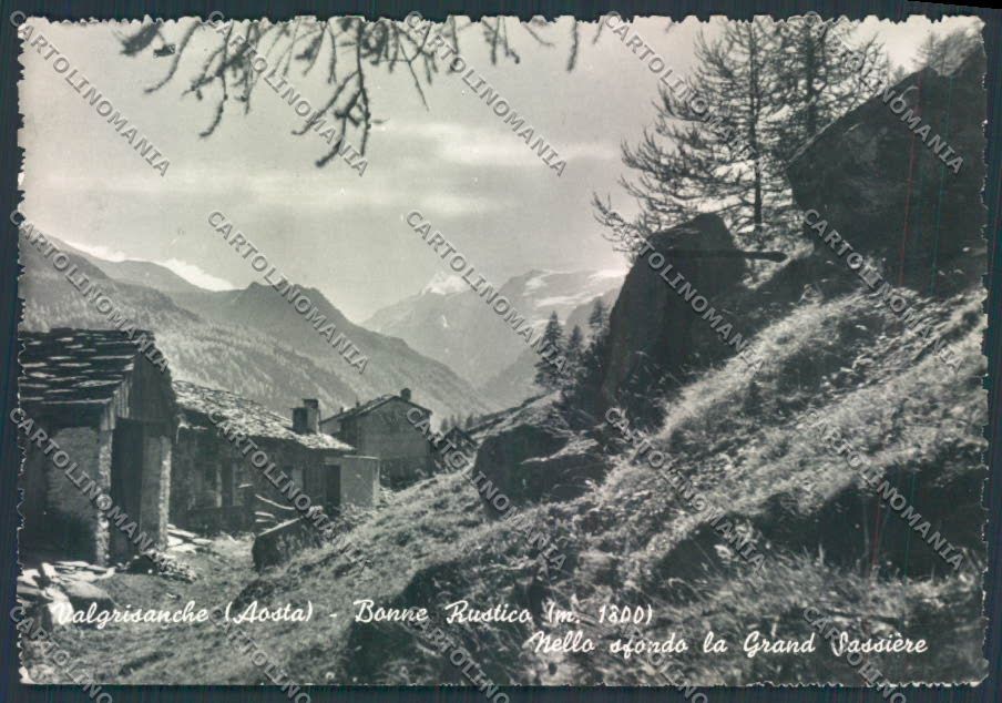 Aosta Valgrisenche Bonne foto FG cartolina MQ4939 – fronte