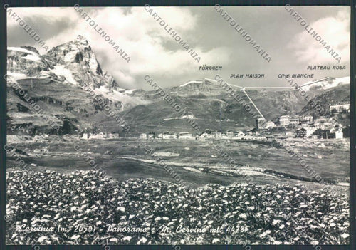Aosta Cervinia Cervino foto FG cartolina MQ4964 – fronte