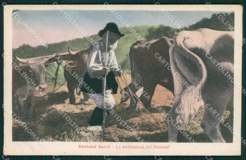 Nuoro Costumi Sardi Trebbiatura Buoi cartolina MQ5214 – fronte