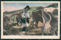 Nuoro Costumi Sardi Trebbiatura Buoi cartolina MQ5214 – fronte