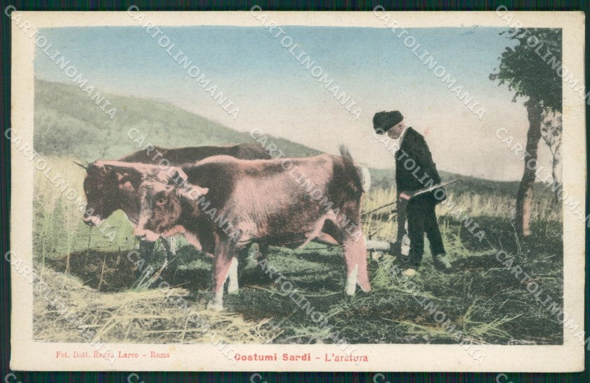Nuoro Oliena Costumi Sardi Aratura cartolina MQ5215 – fronte