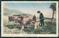 Nuoro Oliena Costumi Sardi Aratura cartolina MQ5215 – fronte
