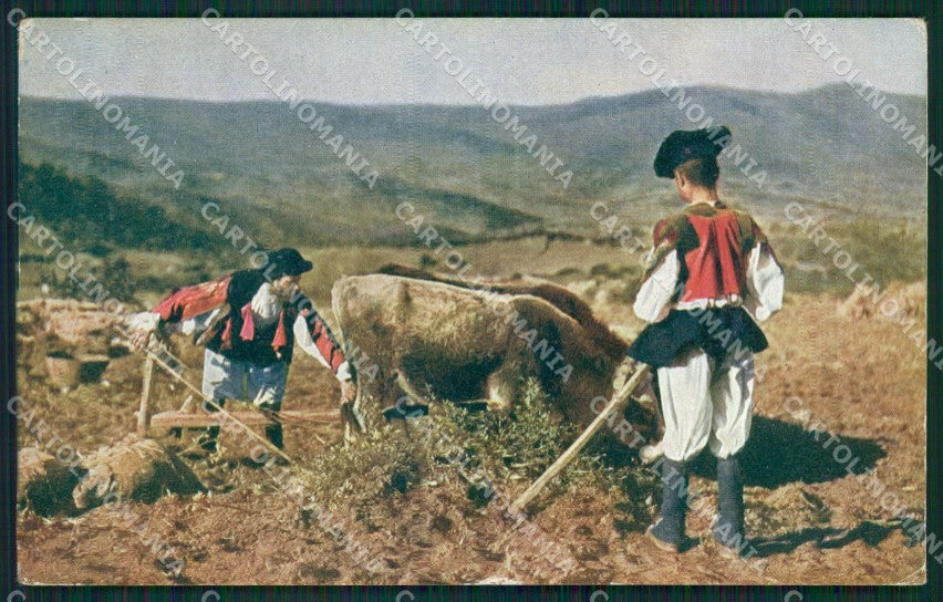 Nuoro Oliena Costumi Sardi Aratura cartolina MQ5216 – fronte
