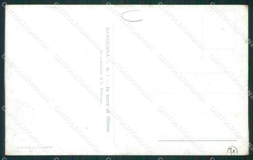 Nuoro Oliena Costumi Sardi Aratura cartolina MQ5216 – retro