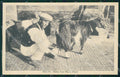 Malta Types Ethnic Capra postcard cartolina MT0115 – fronte