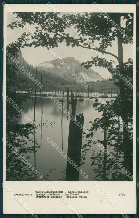 Romania Transylvania Lacul Ghilcos Real Photo postcard cartolina MT0156 – fronte
