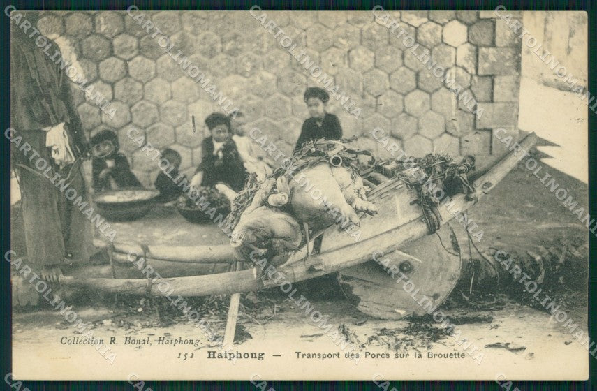Vietnam Tonkin Haiphong Types Ethnic Pig postcard cartolina MT0246 – fronte