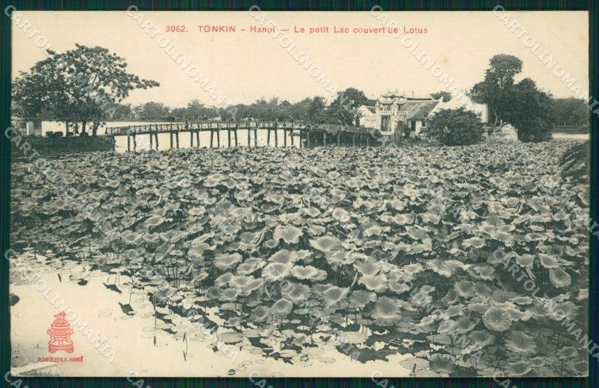 Vietnam Tonkin Hanoi Lotus postcard cartolina MT0254 – fronte