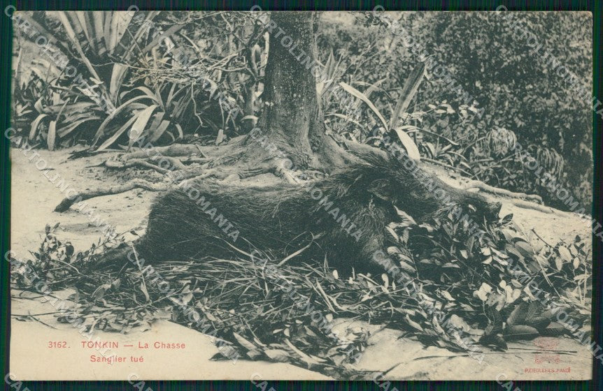 Vietnam Tonkin Chasse postcard cartolina MT0280 – fronte