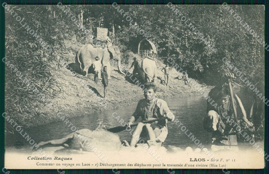 Laos Elephant Types Ethnic postcard cartolina MT0295 – fronte