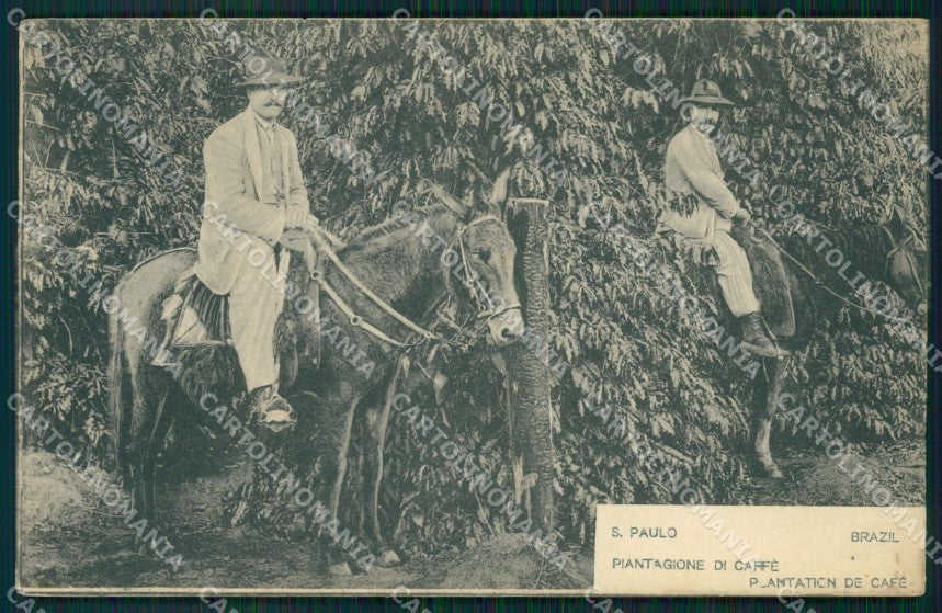 Brasile Brazil Sao Paulo Types Ethnic TEAR postcard cartolina MT0359 – fronte