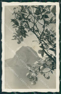 Svizzera Lugano Foto postcard cartolina MT0628 – fronte