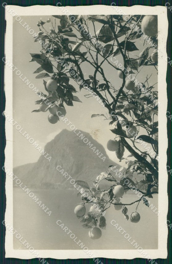 Svizzera Lugano Foto postcard cartolina MT0628 – fronte