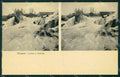 Svizzera Cascata e Castello Stereoview postcard cartolina MT0634 – fronte