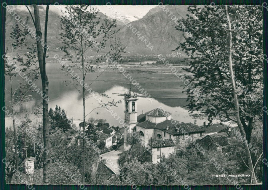 Svizzera Magadino FG Foto postcard cartolina MT0642 – fronte