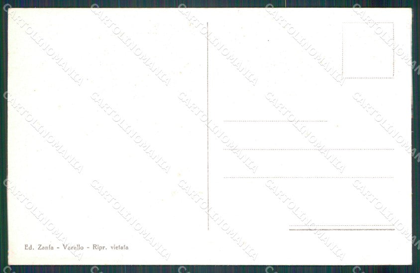 Vercelli Alagna Valsesia Mucche cartolina MT1112 – retro