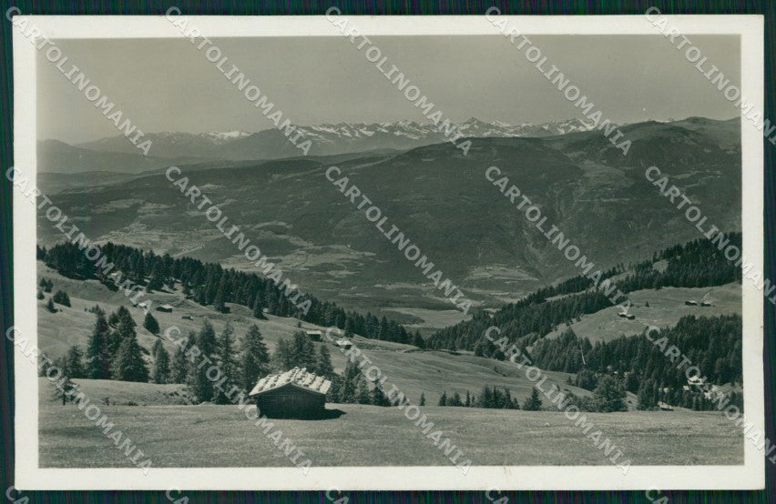 Bolzano Castelrotto Alpe di Siusi Foto cartolina MT1142 – fronte