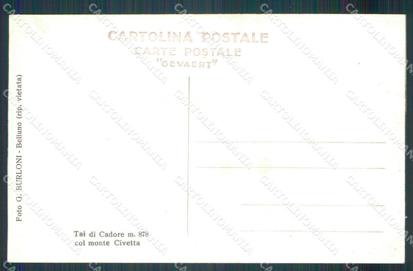 Belluno Pieve di Cadore Tai di Foto cartolina MT1179 – retro