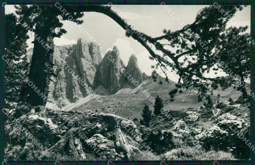 Bolzano Torri del Sella Foto cartolina MT1251 – fronte