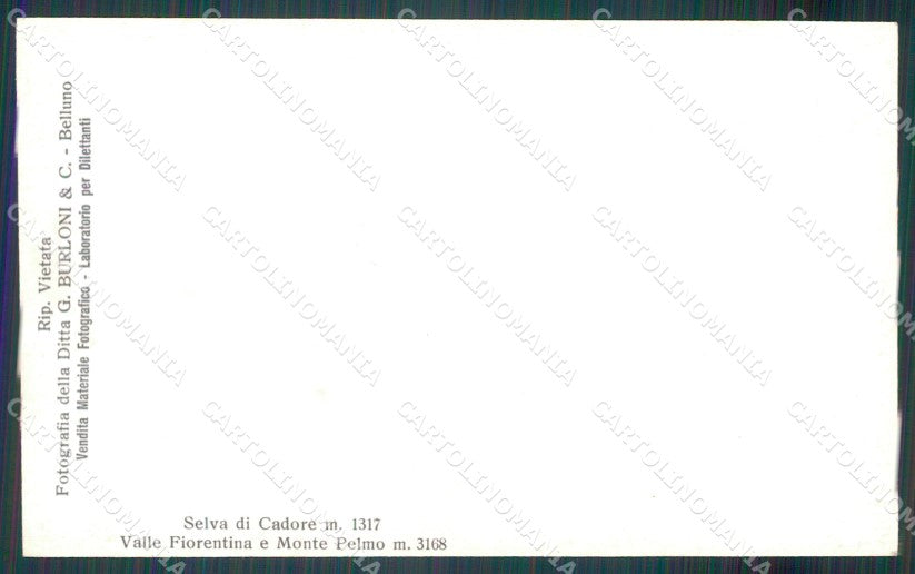 Belluno Selva di Cadore Foto cartolina MT1266 – retro