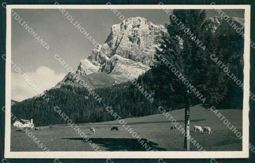 Trento San Martino di Castrozza Cimon della Pala Foto cartolina MT1285 – fronte