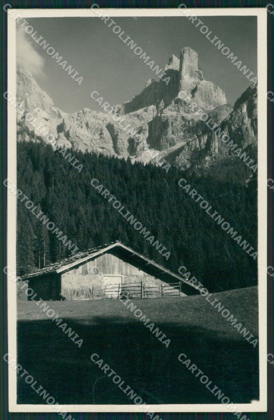 Trento San Martino di Castrozza Sass Maor Cima Madonna Foto cartolina MT1293 – fronte