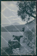 Trento Torbole Lago di Garda cartolina MT1325 – fronte