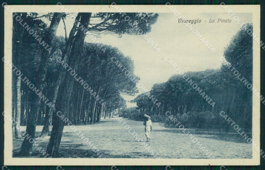 Lucca Viareggio Pineta cartolina MT1567 – fronte