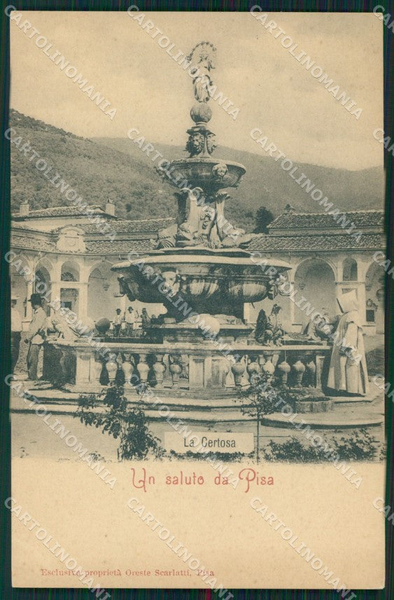 Pisa città la Certosa cartolina MT1591 – fronte
