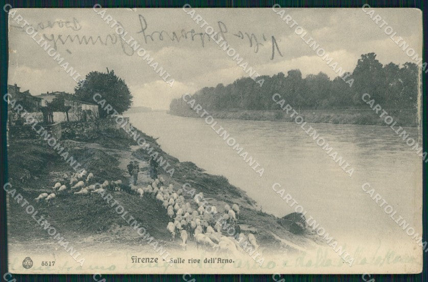 Firenze città Rive dell'Arno Pecore PIEGHINE cartolina MT1654 – fronte
